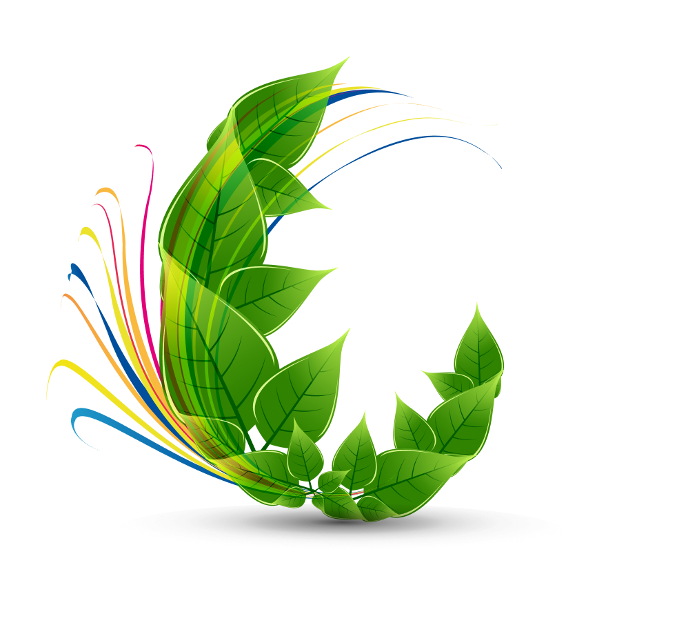 Leaf